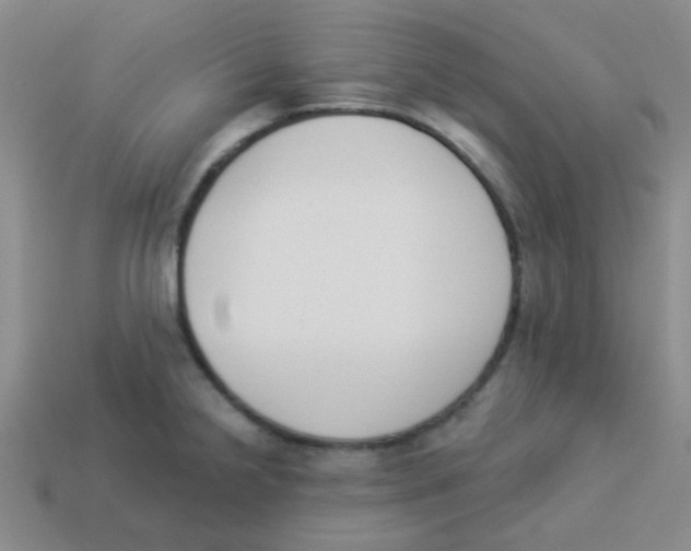 X0000113361238200910131254