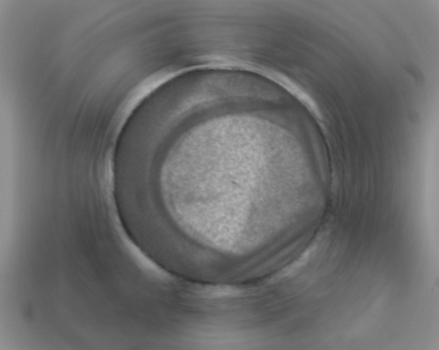 X0000113361239200910131254