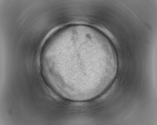 X0000113361240200910131254