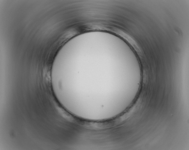 X0000113361241200910131254