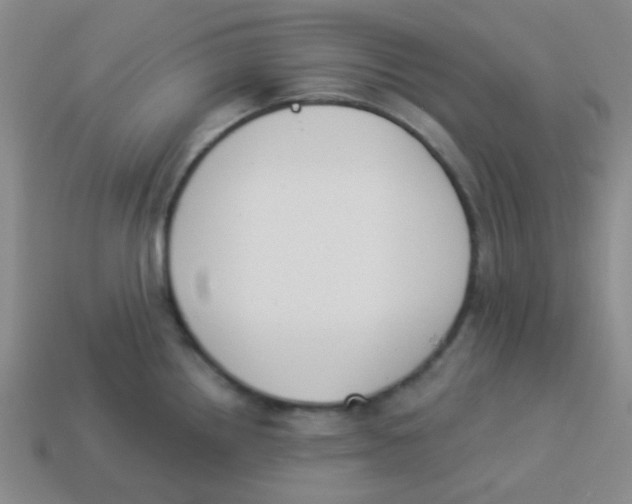 X0000113361242200910131254