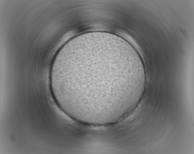 X0000113361243200910131254