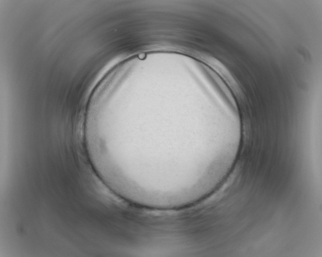 X0000113361244200910131254