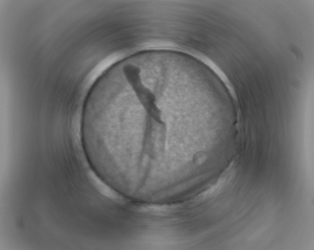 X0000113361245200910131254