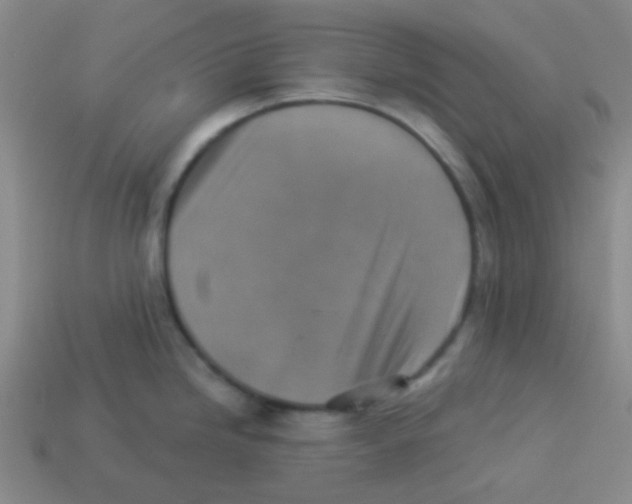 X0000113361246200910131254