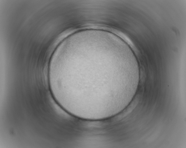 X0000113361247200910131254