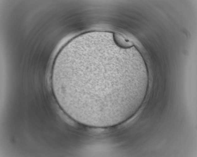 X0000113361248200910131254