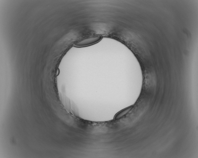 X0000113361249200910131253