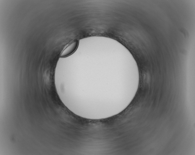 X0000113361250200910131253