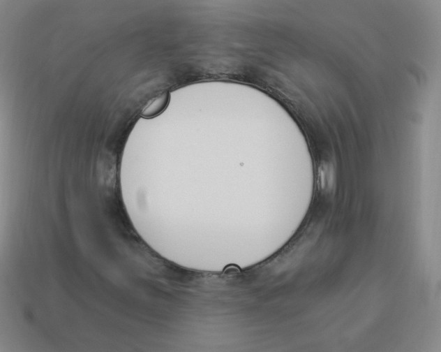 X0000113361251200910131253