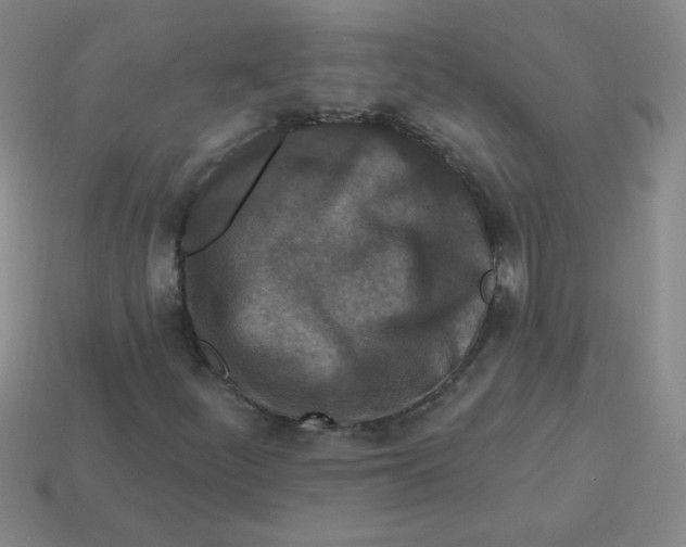 X0000113361252200910131253