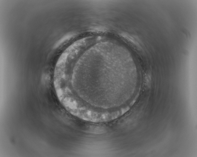 X0000113361254200910131253