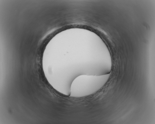 X0000113361255200910131253