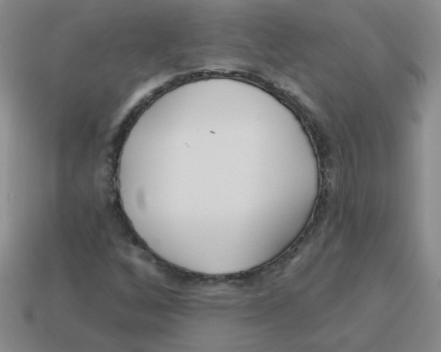 X0000113361256200910131253