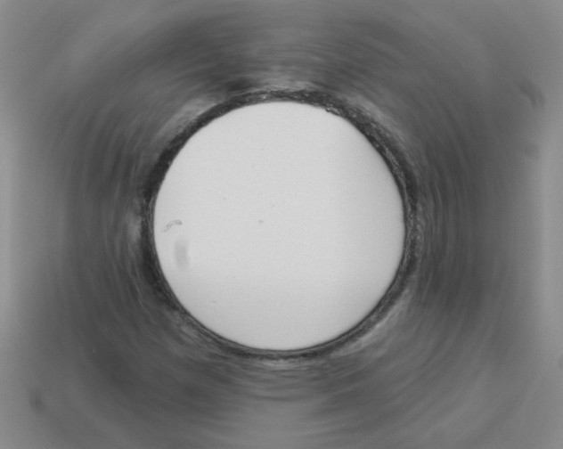 X0000113361257200910131253