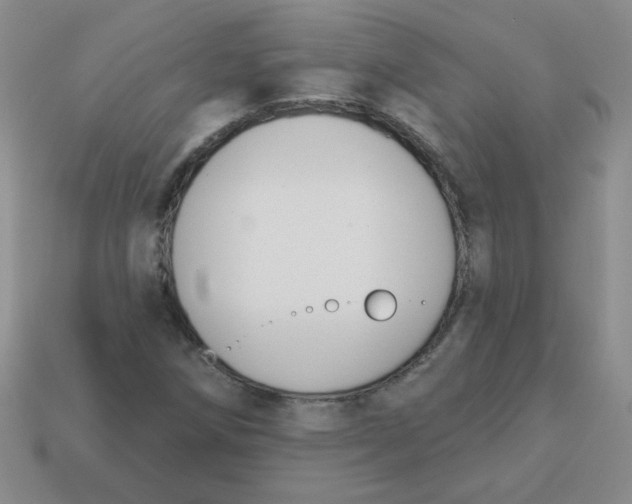 X0000113361258200910131253