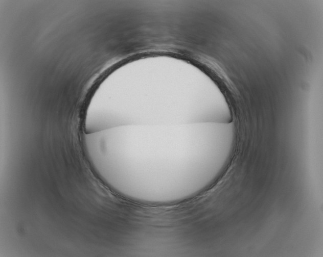 X0000113361260200910131253