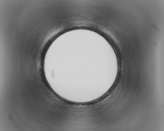 X0000113361261200910131253