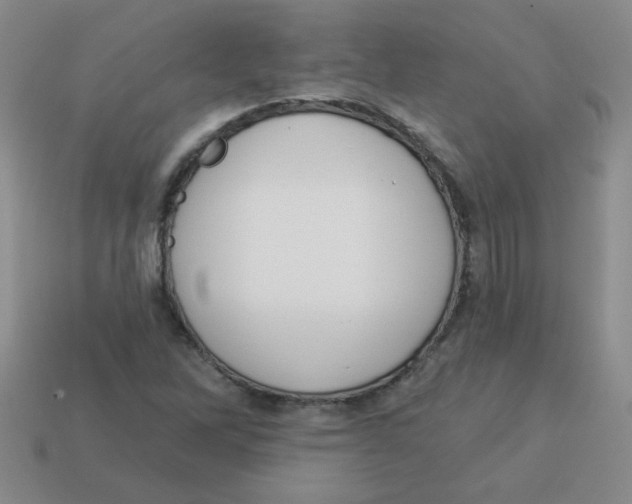 X0000113361262200910131253