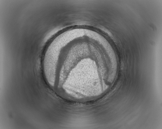 X0000113361263200910131253