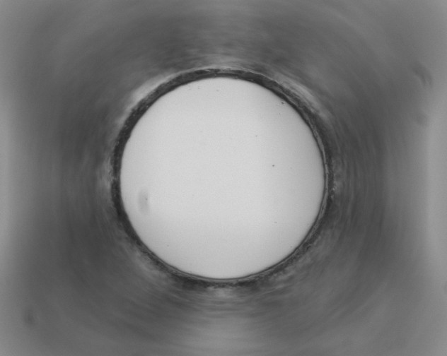 X0000113361264200910131253