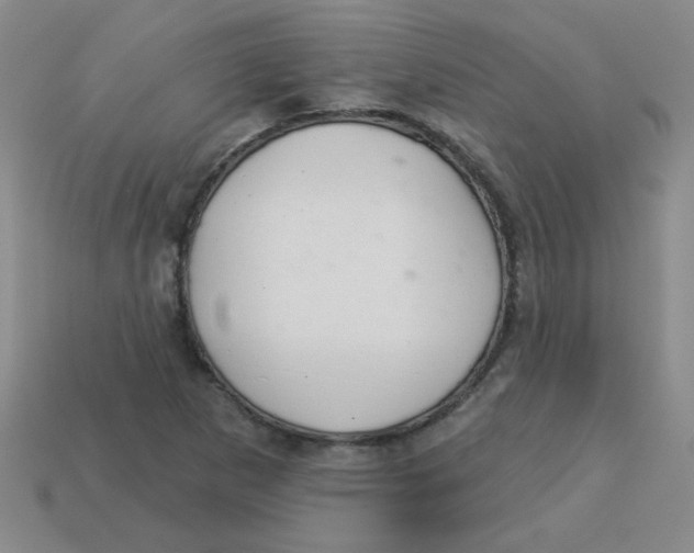 X0000113361265200910131253