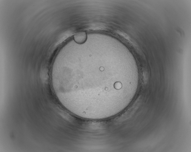 X0000113361266200910131253