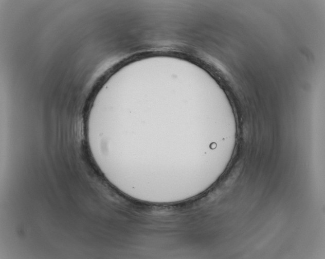 X0000113361267200910131253