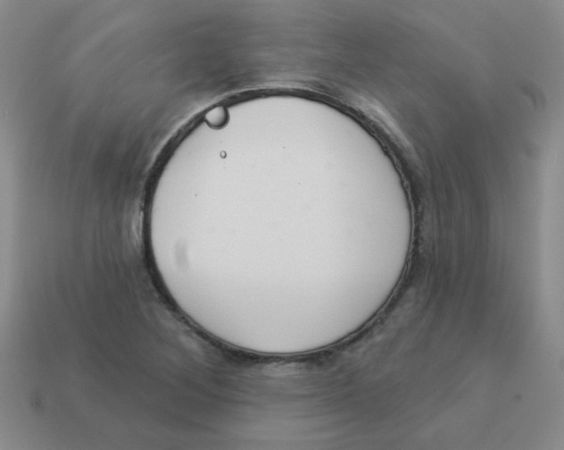 X0000113361268200910131253