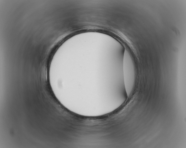 X0000113361269200910131253