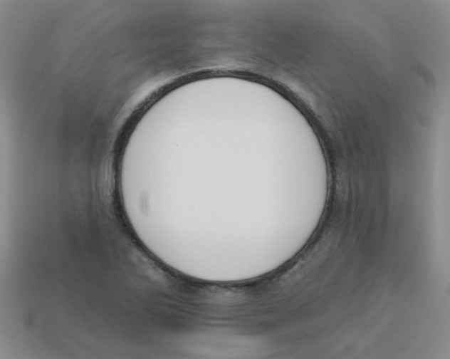 X0000113361270200910131253