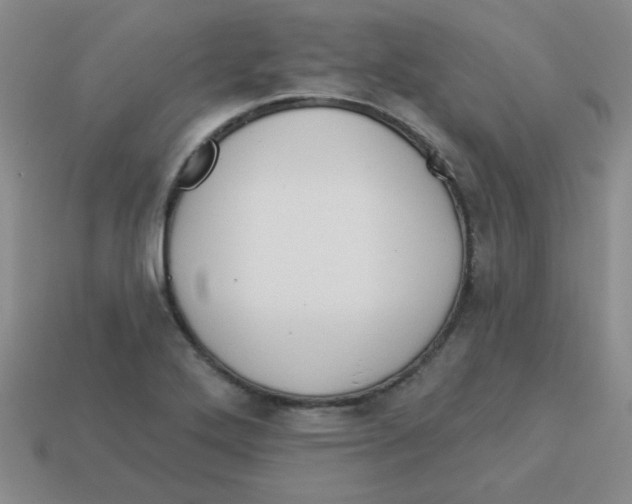 X0000113361272200910131253