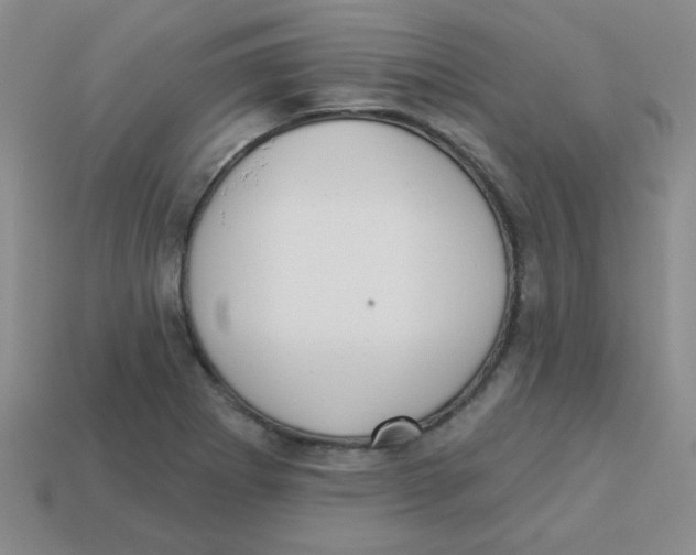 X0000113361273200910131253