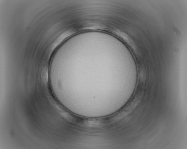 X0000113361274200910131253