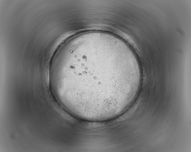 X0000113361275200910131253