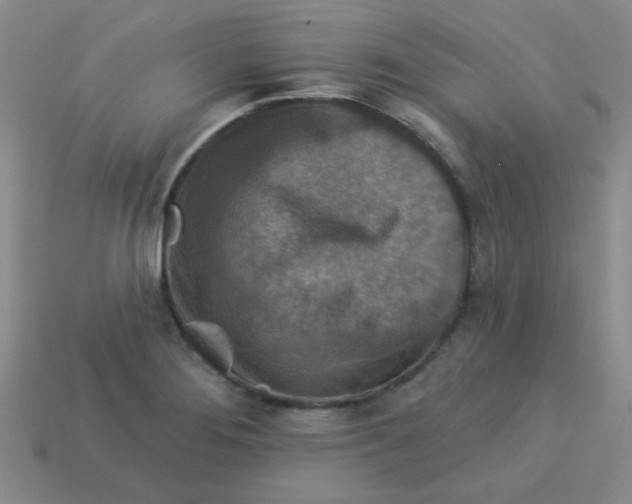 X0000113361276200910131253