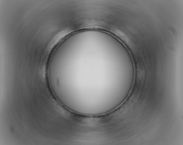 X0000113361277200910131253