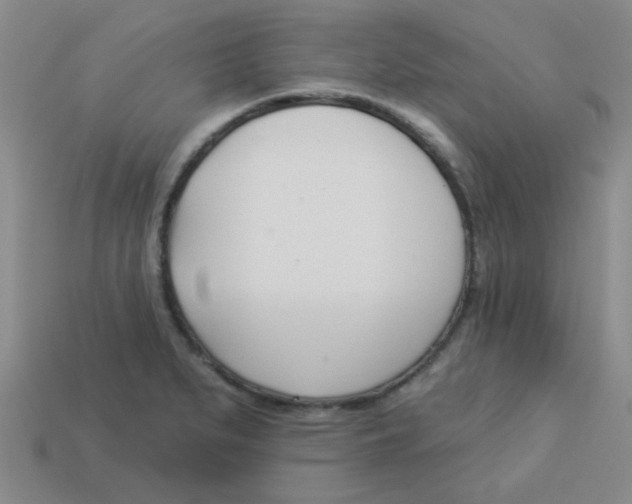 X0000113361279200910131253