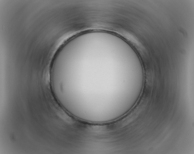 X0000113361280200910131253