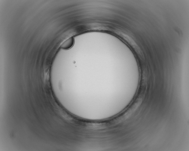 X0000113361281200910131253