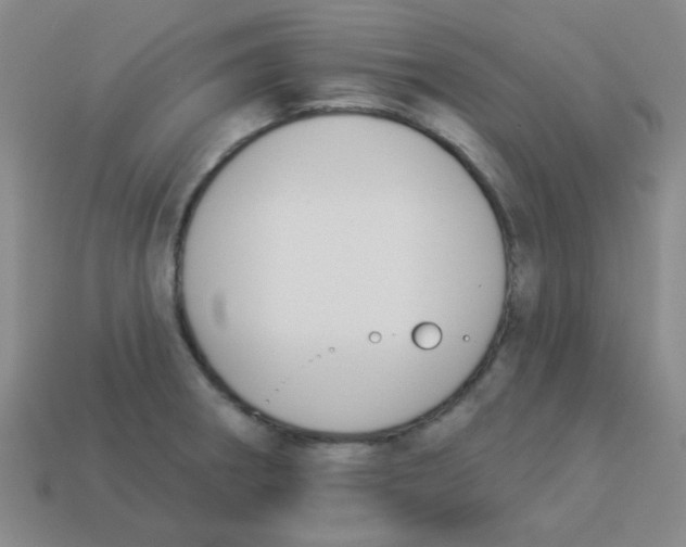 X0000113361282200910131253