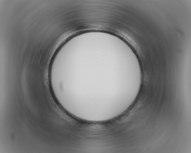 X0000113361283200910131253