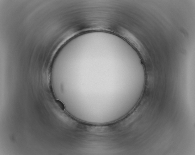 X0000113361284200910131253