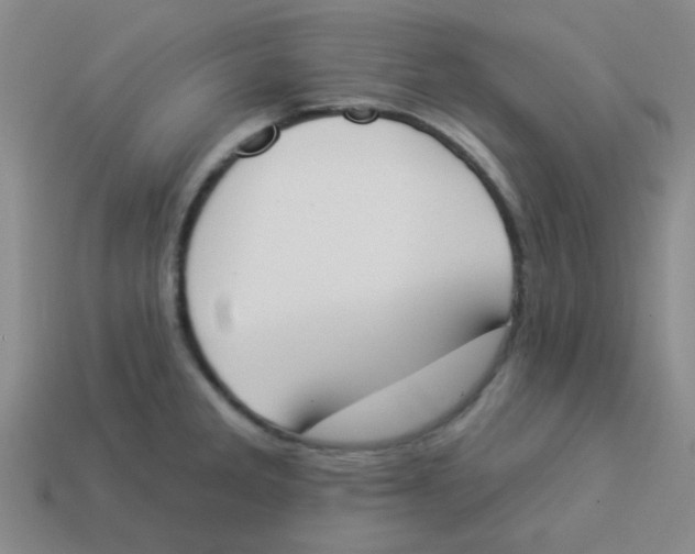 X0000113361285200910131253