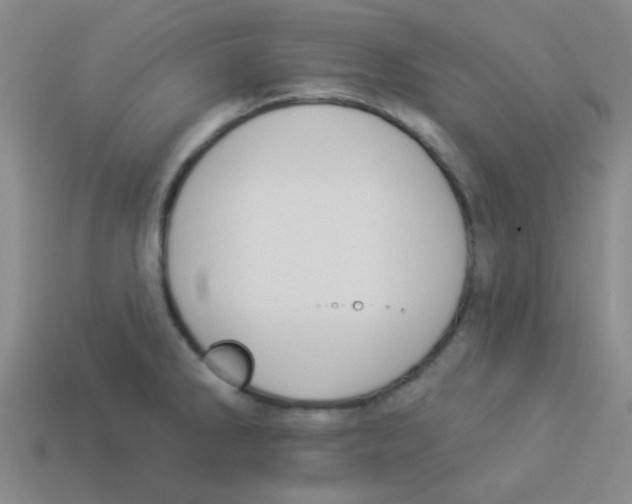 X0000113361286200910131253