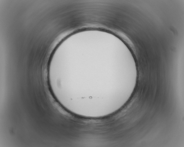 X0000113361287200910131253