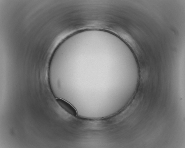 X0000113361288200910131253