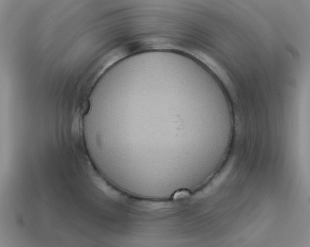 X0000113361289200910131253