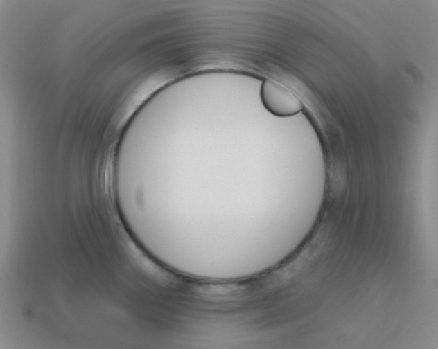 X0000113361290200910131253