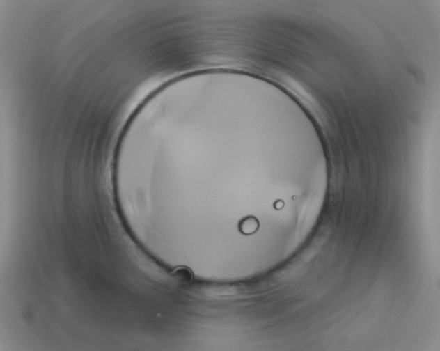 X0000113361291200910131253